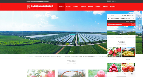 企業(yè)網(wǎng)站、程序軟件App解決方案